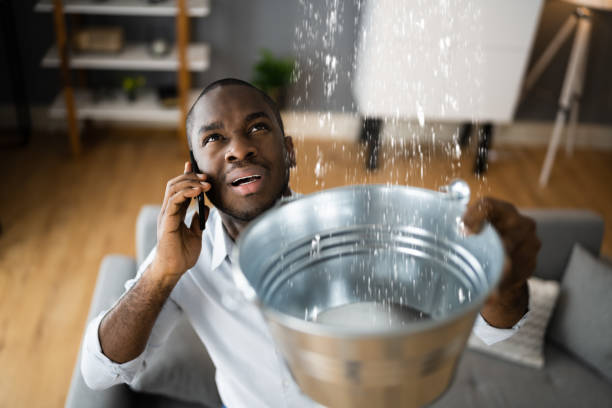 Best Sewage cleanup and water damage restoration  in Genola, UT