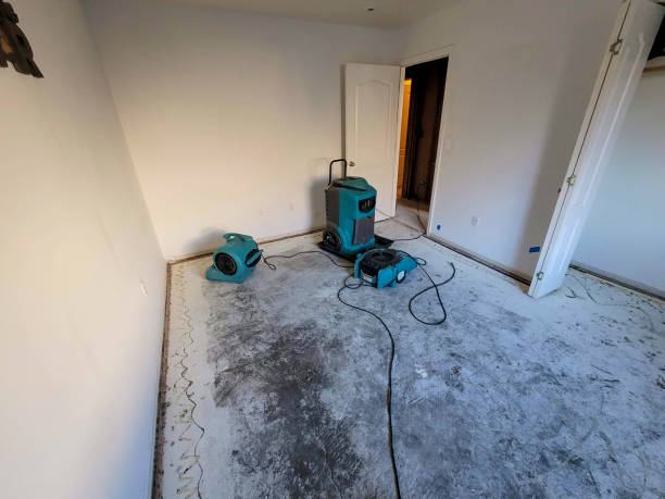 Best Commercial water damage restoration  in Genola, UT