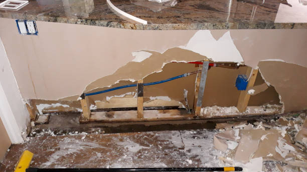 Best Water damage restoration mold remediation  in Genola, UT