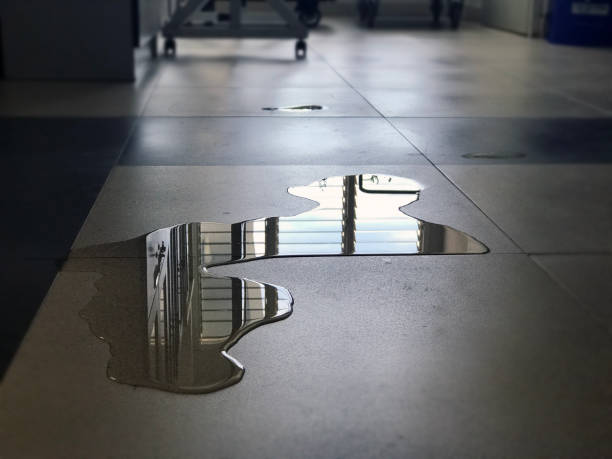 Best Basement water damage restoration  in Genola, UT