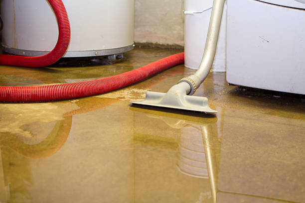 Genola, UT Water damage restoration Company
