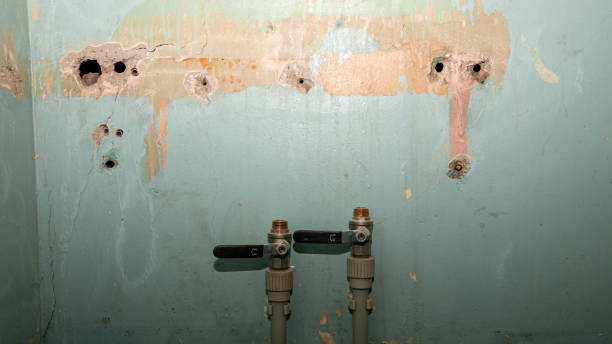 Best Sewage cleanup and water damage restoration  in Genola, UT