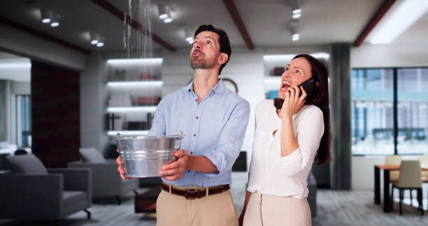 Best Water damage restoration process  in Genola, UT
