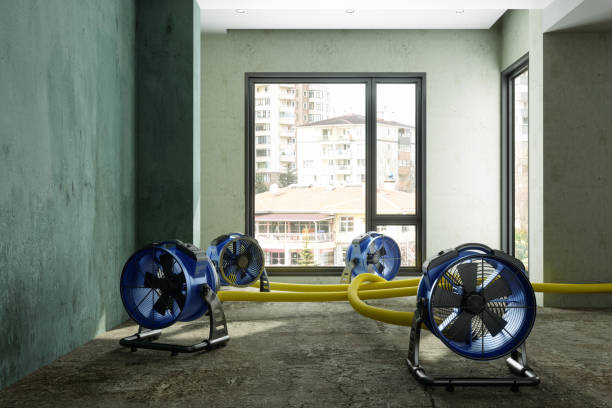 Best Water damage restoration cost  in Genola, UT
