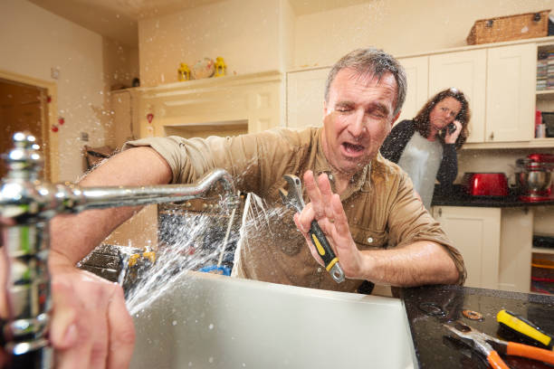 Best Water damage cleanup near me  in Genola, UT